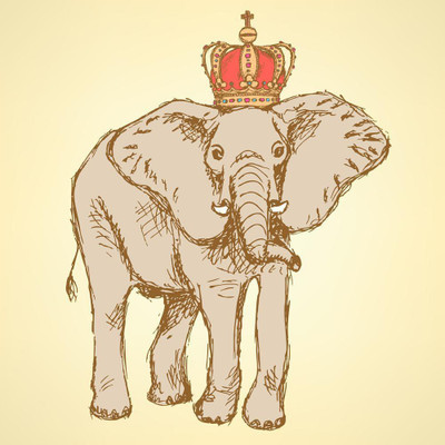 Artzfolio Elephant In Crown Canvas Painting on Engineered Wood Frame 24 x 24 inch Canvas 24 inch x 24 inch Painting(With Frame)