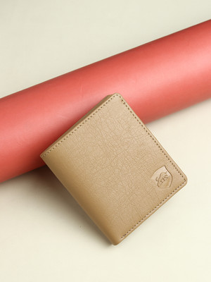SAMTROH Men Casual Beige Artificial Leather Wallet(4 Card Slots)