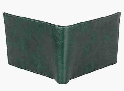 TAQWA Men Green Artificial Leather Wallet(11 Card Slots)