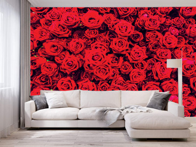 BPDESIGNSOLUTION Floral & Botanical Multicolor Wallpaper(244 cm x 41 cm)