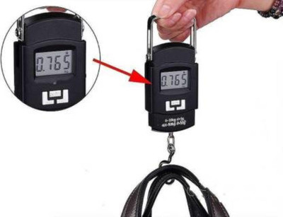 SBTs WH-A08 Mini Digital Kitchen Scale Weighing Scale(Black)