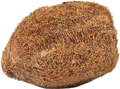 SHRI ASTHA VINAYAK Ekakshi Nariyal Navgreh With FREE (Karya Sidh Beej Mala) Wooden Yantra(Pack of 1)
