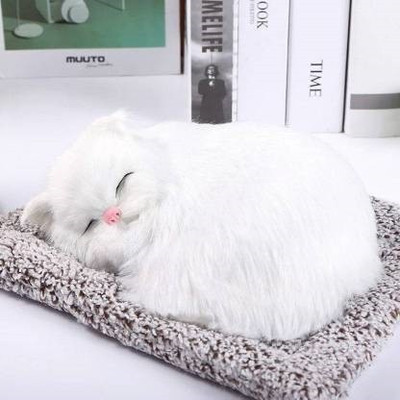 Hoodinter Car Dashboard Sleeping Cat Big Plush Toy Car Interior Decorative Soft Toy Decorative Showpiece  -  26 cm(Fabric, White)