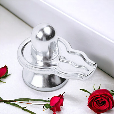 pujahome Parad Shivling Energised Parad Shivling Weight - 50 Grams (3 CM) for Home Puja Decorative Showpiece  -  11 cm(Metal, Silver)