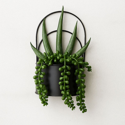 Kaaza Mart Artificial Hanging for Living room and office Decorative Showpiece  -  27 cm(Metal, Black, Green)