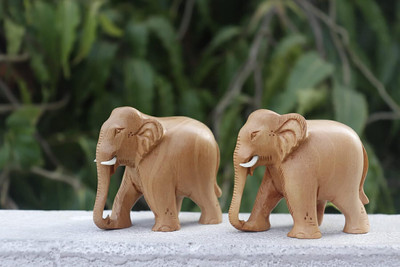 Mamta Handicrafts Natural Elephant Kadam Wood Pair Combo Set Down Trunk 2 INCH for Home Decorative Showpiece  -  5 cm(Wood, Brown)