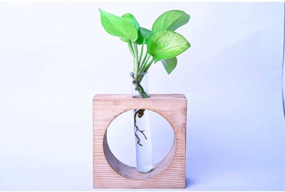 oxmic Test tube wooden plant stand Wooden Vase Decorative Showpiece  -  5 cm(Wood, White)