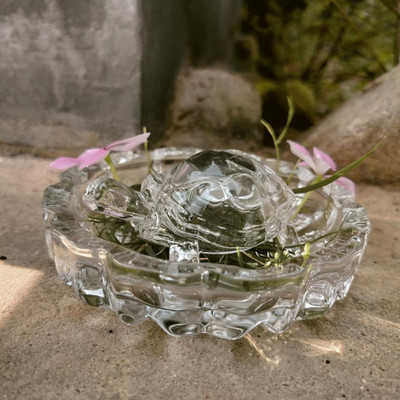 DARIDRA BHANJAN Vastu Feng Shui Crystal Turtle Tortoise with Plate for Good Luck Decorative Showpiece  -  4 cm(Crystal, White)