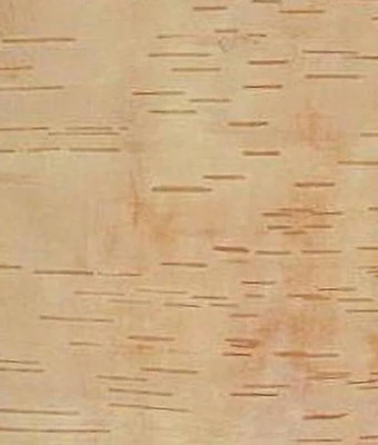 Astro Astro ASTRO-D PoojanSamagri BHOJ PATRA / BETULA UTILIS / BHUYAPATRA Decorative Showpiece  -  2 cm(Fiber, Brown)