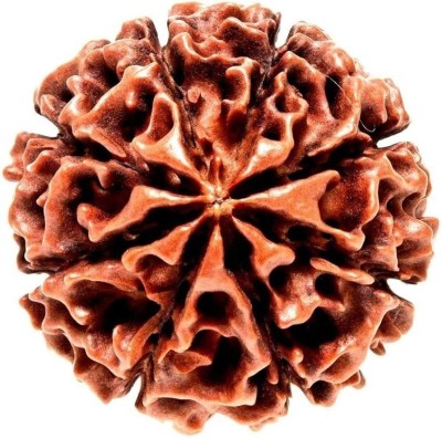 MEDIASAT Decorative Showpiece  -  1 cm(Wood, Brown)