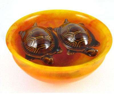 SS GALLERY FENGSHUI FLOATING TORTOISE Decorative Showpiece  -  8 cm(Terracotta, Multicolor)