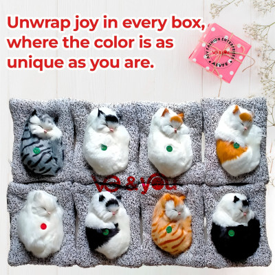 Decor palace DP_Dashboard Decor Sleeping Cat Interior Décor Soft Toy Showpiece For Car & Home Decorative Showpiece  -  8 cm(Plastic, White)