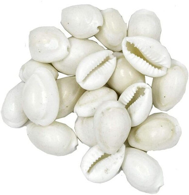 Astro ASTRO-D WHITE Kodi Pack Of 51 Piece WHITE Kodi For Decorative Showpiece Decorative Showpiece  -  1 cm(Stone, White)