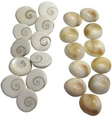 Senroar Gomti Chakra Shell (Gomti River Stone) Decorative Showpiece (Pack of 21) Decorative Showpiece  -  1 cm(Stone, White)
