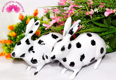 CRYSTU Brass Rabbit Pair Black & White for Feng Shui, Vastu Correction for Happy Decorative Showpiece  -  5.5 cm(Polyresin, Black, White)