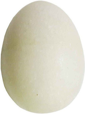 SHRI ASTHA VINAYAK Decorative Showpiece  -  4 cm(Marble, White)