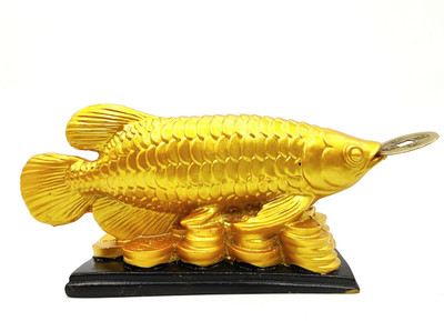 Plus Value Lucky Feng Shui Golden Arowana Fish Statue for Protection & GoodLuck Decorative Showpiece  -  15.3 cm(Polyresin, Gold)