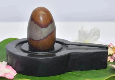 AKNaturals Original Small Narmada Shivling / Natural Narmadeshwar Shivling For Home Decorative Showpiece  -  15 cm(Stone, Brown, Black, White)