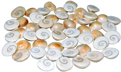 Avlokan Gomti Chakra 11 Pcs Carved Round Crystal Stone(White, Yellow 11 Pieces)