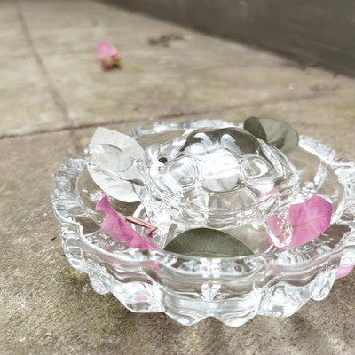 DARIDRA BHANJAN Crystal Turtle With Plate (Fengshui) For Good Health, Wealth Decorative Showpiece  -  4 cm(Crystal, White)