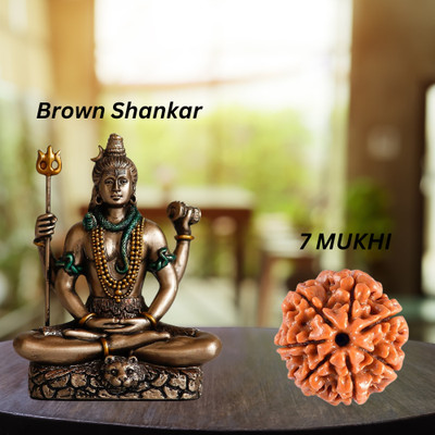 DARIDRA BHANJAN 7 Mukhi Rudraksha Nepal 7 Face Rudraksha Original Certified with Shiva Idol Decorative Showpiece  -  8 cm(Resin, Brown)