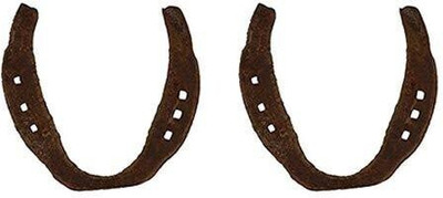 SHRI ASTHA VINAYAK Decorative Showpiece  -  8 cm(Iron, Black)