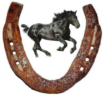 SHRI ASTHA VINAYAK Decorative Showpiece  -  10 cm(Iron, Black)