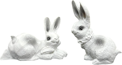 numeroastro Feng Shui Vastu Rabbit Pair Showpiece in Polyresin for Good Luck (1 Set) Decorative Showpiece  -  9 cm(Polyresin, Multicolor)