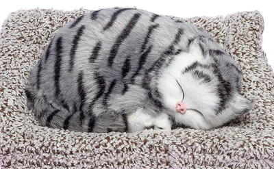 prezzie Sleeping Cute Cat for Car Dashboard and Home Decor Decorative Showpiece - 12 cm Decorative Showpiece  -  10 cm(Fabric, Grey)