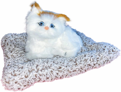MY BABY LOVE A PERFECT CARE Car Dashboard Sitting Cat Plush Toy Car Interior Decorative Soft Toy Decorative Showpiece  -  18 cm(Fabric, White)
