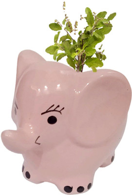 Purpledip Ceramic Cute Elephant Planter: Indoor Outdoor Flower Pot Table Decor Decorative Showpiece  -  10 cm(Ceramic, Pink)