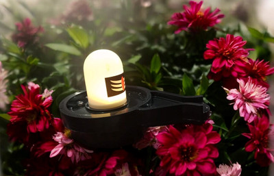 D. E. S Water Sensor shivling Smokeless Sensor Led Light for Festival Decoration Light Decorative Showpiece  -  3 cm(Plastic, Black, White)