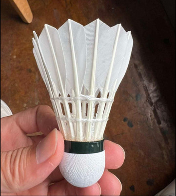 acers Goose Feather Shuttle  - White(Medium Slow, 76, Pack of 12)