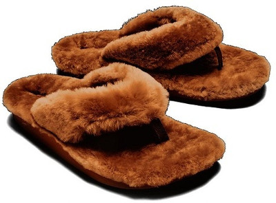 WOLVESDEN Women Flip Flops(Brown , 6)