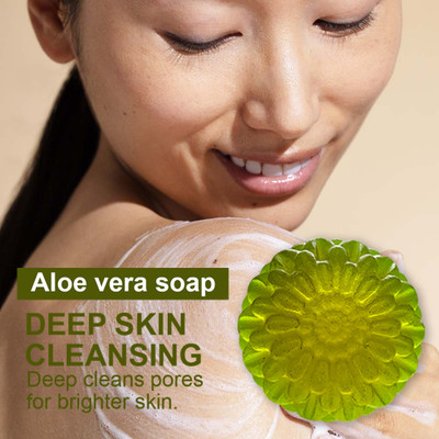 CHITAKSH Antibacterial Aloe Vera Soap for Protection Against Germs and Bacteria(100 g)