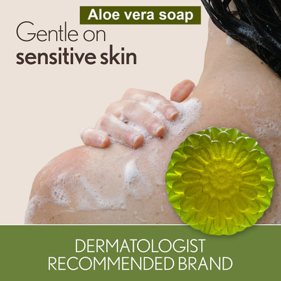 CHITAKSH Whitening Aloe Vera Soap with Skin Lightening Benefits for a Fairer Complexion(100 g)