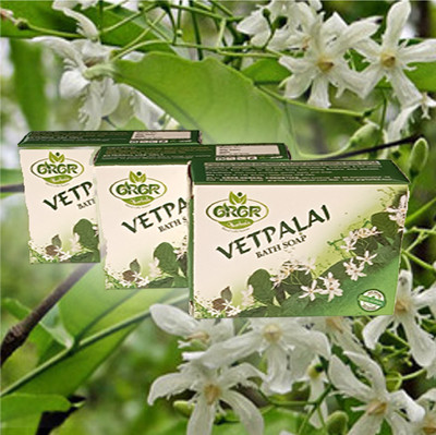 GRGR Vetpalai soap for itchy skin- pack of 3(3 x 100 g)