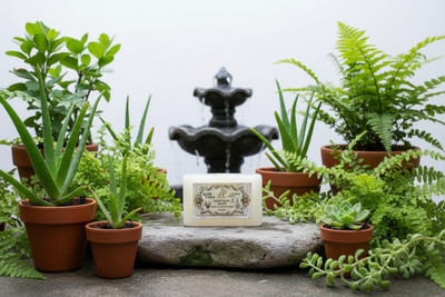 Pihaaru Aloe Vera Soap B(100 g)