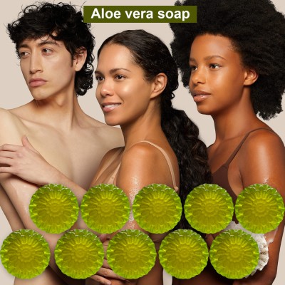TERIHAR Soothing & Cooling Aloevera Bath Bar (100GM) (PACK OF 10)(1000 g)