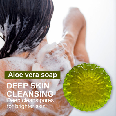 CHITAKSH Aloe Vera Moisturizing Soap for Soft and Supple Skin(100 g)