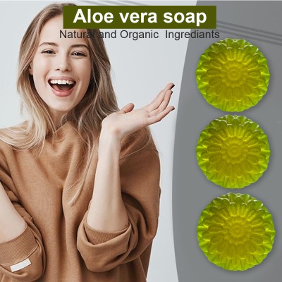 TERIHAR Herbal Aloe Vera Soap with Essential Oils (100GM) (PACK OF 3)(300 g)