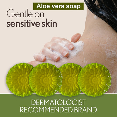 TERIHAR Exfoliating Aloevera Soap with Walnut Scrub (100GM) (PACK OF 4)(400 g)