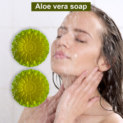 CHITAKSH Balancing Aloe Vera Soap (100GM) (PACK OF 2)(200 g)