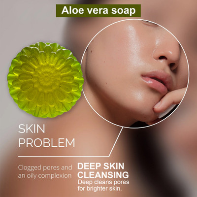 TERIHAR Antibacterial Aloe Vera Soap for Clean and Clear Skin(100 g)