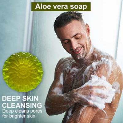 TERIHAR Antibacterial Aloe Vera Soap for Hand Washing(100 g)