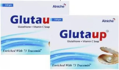 Alniche Glutaup 2x110g Soap(2 x 110 g)