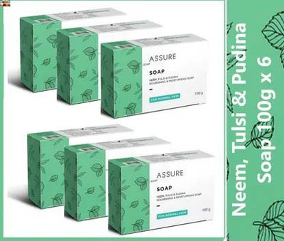 Rastic Assure Neem, Tulsi, and Pudina soap Pack of 6 Lid-28(6 x 100 g)