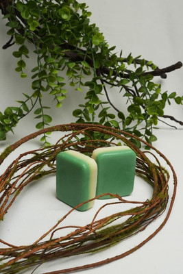 MONTREL Neem & Aloe Vera Purifying Body Soap(2 x 100 g)