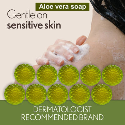 CHITAKSH Aloe and Grapefruit Bath Bar (100GM) (PACK OF 10)(1000 g)