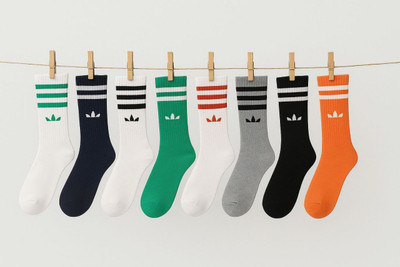 SIZE MATTERS Men & Women Solid Calf Length(Pack of 12)